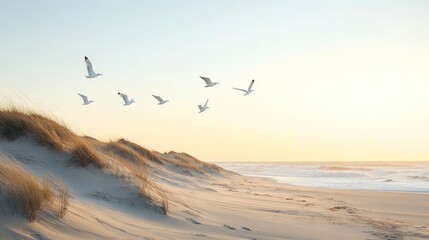 Fototapeta premium Seagulls Flying Over Sandy Beach and Ocean at Sunset
