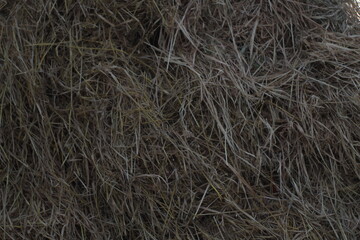 photo of straw stack close up rice field, southeast asian agriculture
