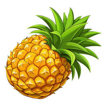pineapple vector illustration - vector illustration of pineapple isolated on white, pineapple vector art