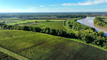 Aerial view Bordeaux Vineyard at sunrise, film by drone in summer, Entre deux mers, Langoiran, High quality 4k footage