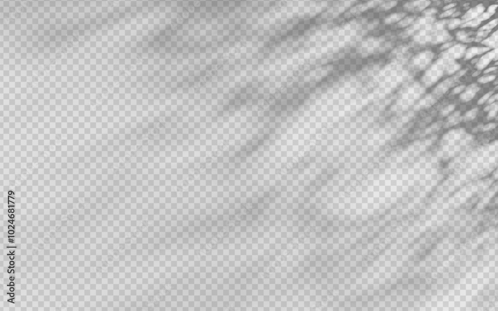 Poster abstract shadow overlay from foliage on a transparent background.