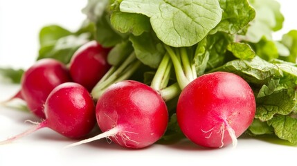 Fresh radishes highlighted