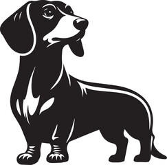 Dachshund dog cute vector