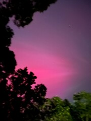 Naklejka premium Northern Polar Lights, Aurora Boréales Natural Phenomena, October 11, 2024, North Smithfield, RI Rhode Island USA. Iridescent Glowing Illumination Shining in Forest on Night Sky. Vivid Pink Red Colors