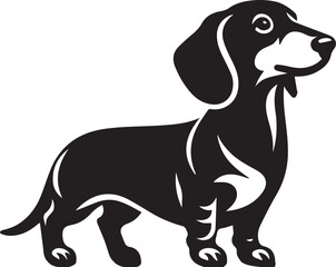 Dachshund dog cute vector