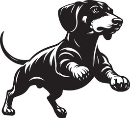 Dachshund dog cute vector