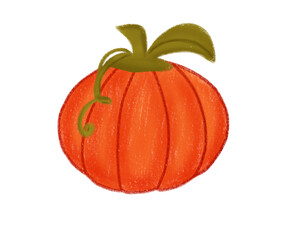 pumpkin on a white background