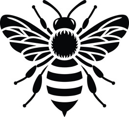 bee on white background