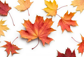 Verschiedenfarbige Herbstblätter in Rot, Orange und Gelb sind gleichmäßig auf einem weißen Hintergrund verteilt. Generative KI