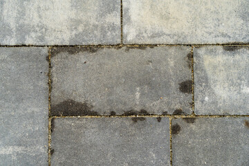 Cobblestone by the House with Moss