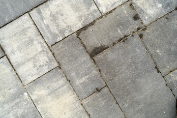 Cobblestone by the House with Moss