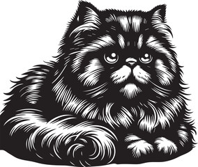 Persian cat big hair cute vector