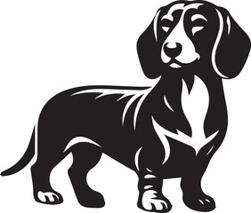 Dachshund dog cute vector