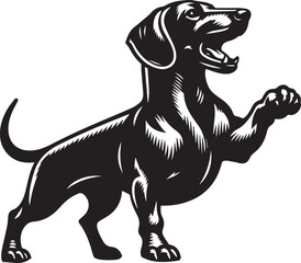 Dachshund dog cute vector