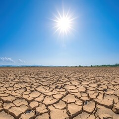 Scorched Landscape Under Intense Sunlight