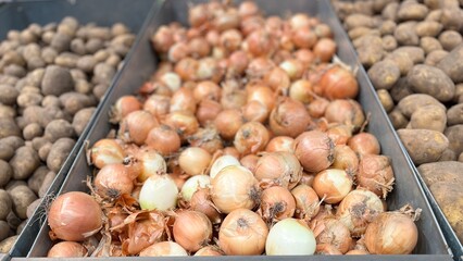close a lot of ripe round onions are sold in the supermarket next to potatoes in gray boxes. autumn. a lot of vegetables