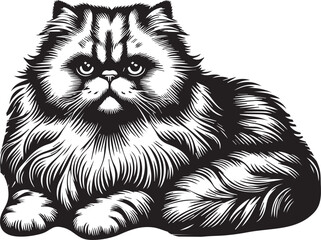 Persian cat big hair cute vector