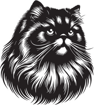 Persian cat big hair cute vector
