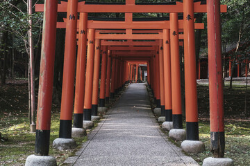  [NARA]A famous shrine surrounded by nature in Nara Prefecture, A row of vermilion torii gates,...