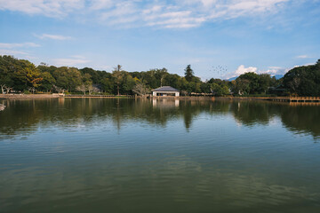Fototapeta premium [NARA]A famous shrine surrounded by nature in Nara Prefecture, The beautiful pond is impressive, Kashihara Shrine, Japan