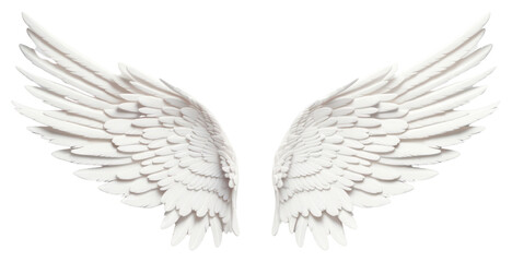 Fototapeta premium PNG Angel bird archangel feather.
