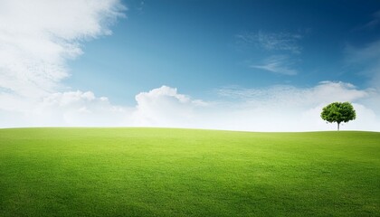 Fototapeta premium minimal grass landscape