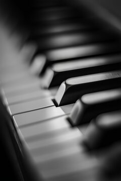 A focused monochrome image of piano keys, showcasing the depth and texture of black and white keys in high contrast.
