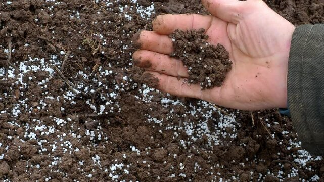 Farmer Hands kneads and touches Potassium nitrogen fertilizers. Top view for control soil quality before seed plant. Smart farming, using modern technologies in agriculture. Future plant.