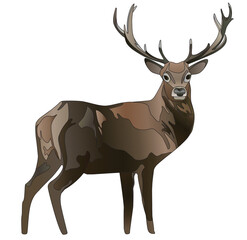 Elk Vector Illustration: Majestic Antlered Animal elk