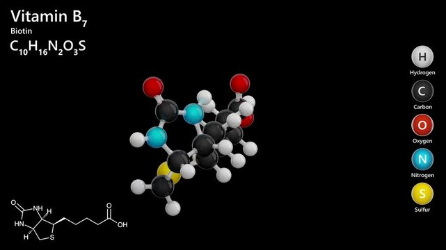 Biotin, or B7 vitamin. Animated 3d model of molecule. Molecular formula: C10H16N2O3S. Chemical model: Ball and Stick. Black background. 3D rendering. Seamless loop.