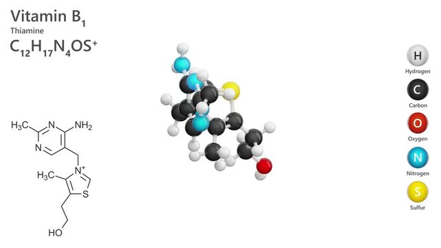 Thiamine or B1 vitamin. Animated 3d model. Molecular formula: C12H17N4OS. Chemical model: Ball and Stick. white background. 3D rendering. Seamless loop.