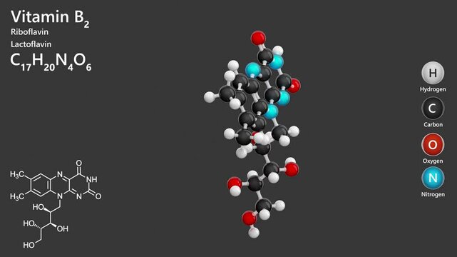 Riboflavin or B2 vitamin. Animated 3d model of molecule. Molecular formula: C17H20N4O6. Chemical model: Ball and Stick. Gray background. 3D rendering. Seamless loop.