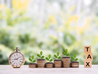 Vintage watch, Wooden blocks with the word TAX and plants growing up on stack of coins. The concept about saving money and manage time to paying tax
