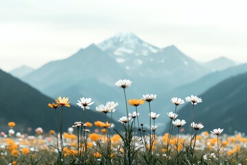 Beautiful meadow with wildflowers in the foreground and majestic mountains in the background, under a bright and clear sky.
