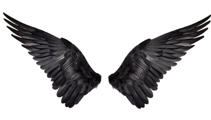 black angel wings isolated on white background