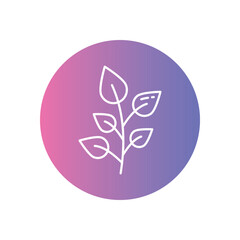 Herb Plant vector icons stock illustration