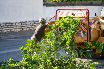 An Urban Landscaper Engaged in the Collection and Management of Green Waste Materials