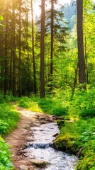Fototapeta premium A narrow hiking trail meanders alongside a refreshing stream, surrounded by dense, vibrant greenery, on a bright sunny day