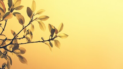 Obraz premium Autumn Serenity: Golden Foliage Silhouetted Against a Warm, Glowing Sky