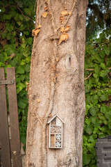 Bird house on a tree in the garden outdoors