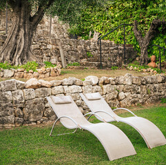 Two modern sun beds in french garden, with a big tree and stone walls