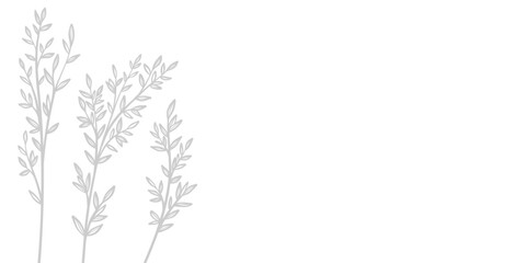 Minimlaist leaf banner design, elegant foliage, grey and white border design, wide cover background