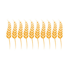 Agriculture wheat logo vector template and symbol
