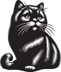 Scottish Fold Cat Cute Vector 