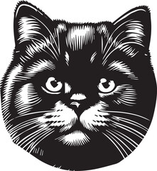 Scottish Fold Cat Cute Vector 