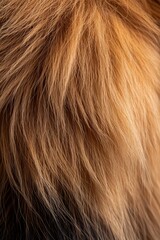Naklejka premium Close Up of Brown, Yellow, and Black Fur. Thick, Soft Texture. Natural Pattern with Lines.