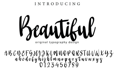 Beautiful Font Stylish brush painted an uppercase vector letters, alphabet, typeface