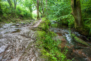 Route of the Profundu River, Villaviciosa, Asturias, Spain