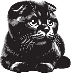 Scottish Fold Cat Cute Vector 
