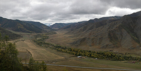 Glued high-resolution panorama of Kurai steppe in Altai. Autumn golden wide format  landscape of an endless hilly steppe covered with coniferous forest. In the distance are foggy and cloudy